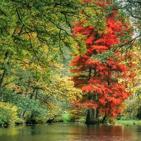 2 Bedroom Gorgeous In