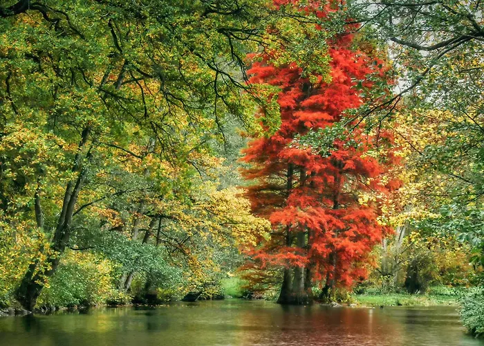 2 Bedroom Gorgeous In